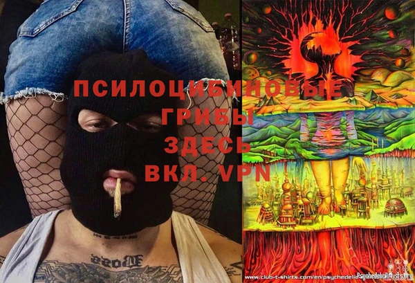 ешки Горно-Алтайск