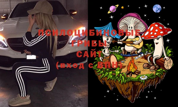 дурь Струнино