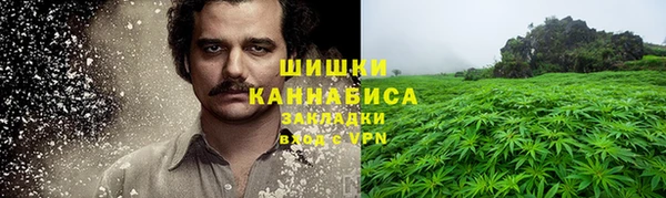 молекула духа Горняк