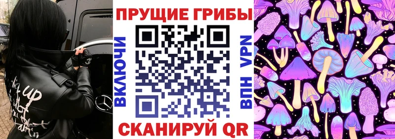 Псилоцибиновые грибы Magic Shrooms  Купить закладки  Богородицк 